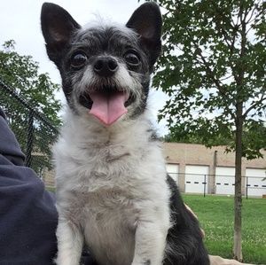 I sell clothes that range in size and brands.